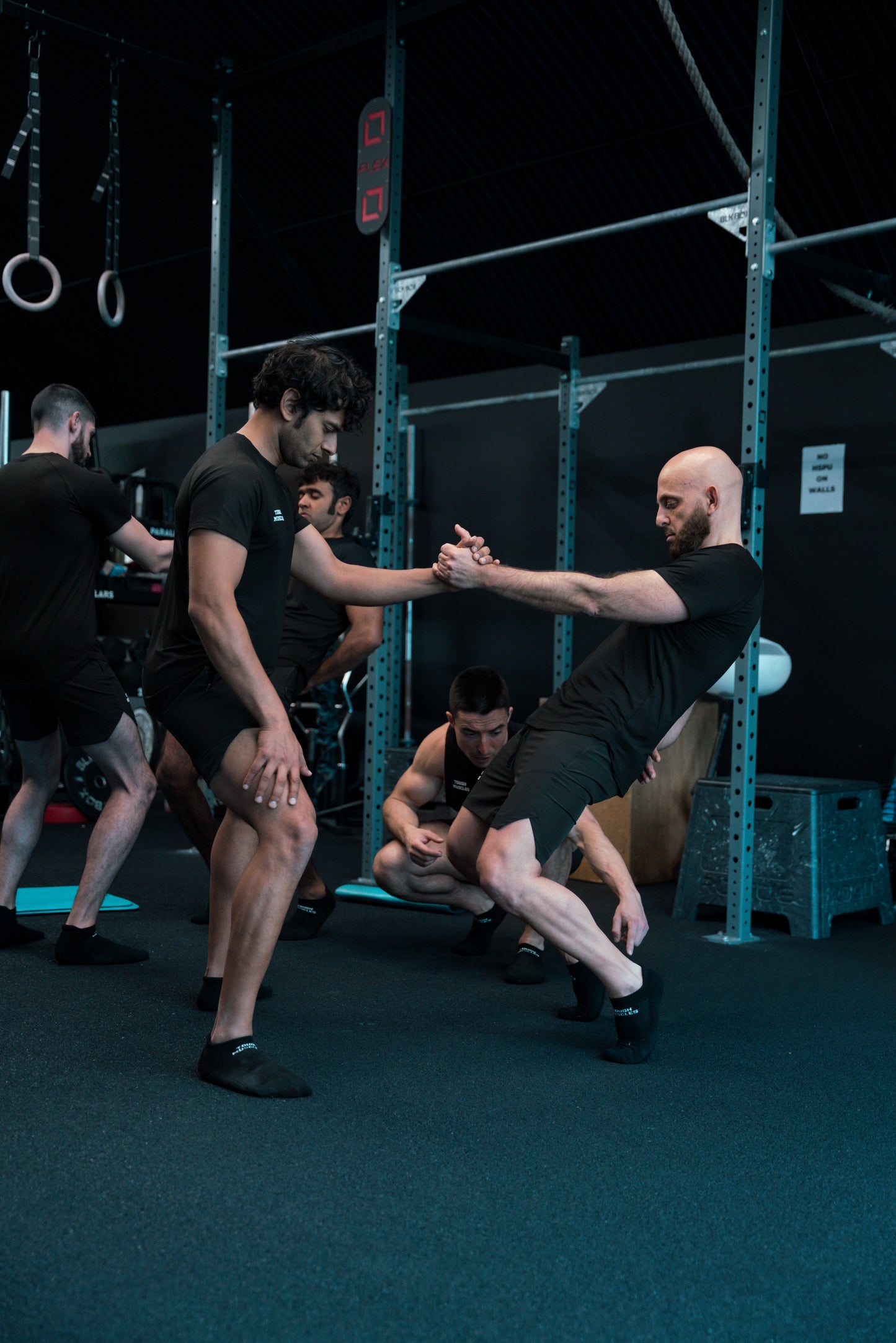 Sissy Squats Workshop