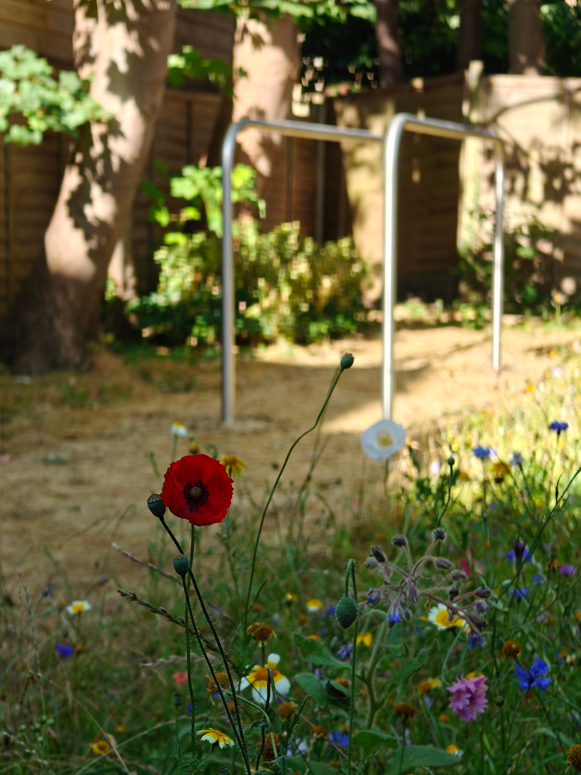 KENGURU PRO Garden Gym - Premium  Quality Calisthenics Equipment At Home