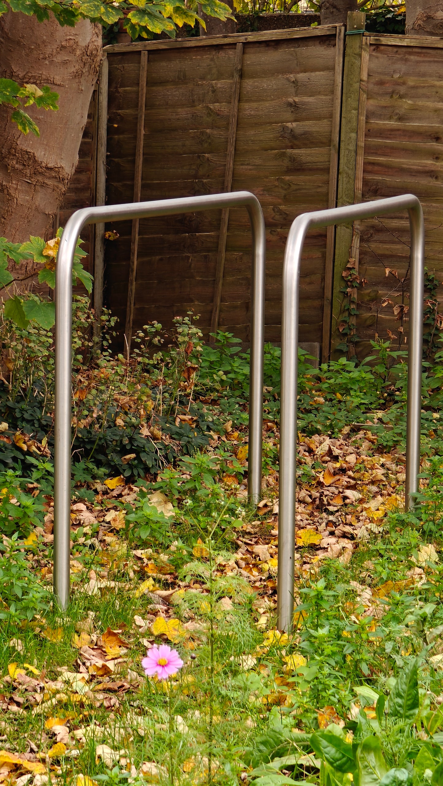 Outdoor Calisthenics Gym